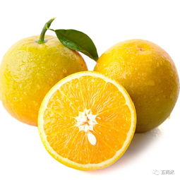 品味新鮮，盡在水果王國(guó)